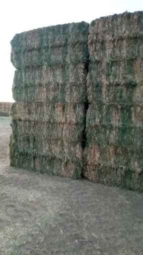 قش القمح ميكس برسيم بالات 350 كجم