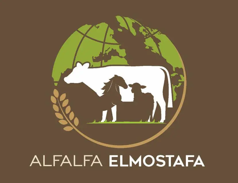 alfalfaelmostafa